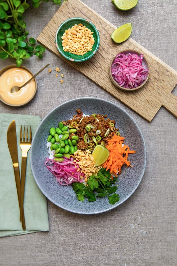 Rice bowl med hoisinstekt kjøttdeig, syltet rødløk og grønne erter, servert med chilimajones og peanøtter